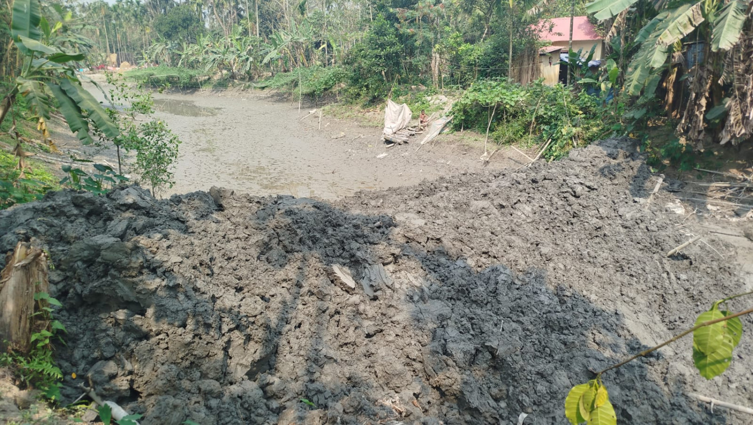 ভোলার চরসামাইয়ায় রাতের আধারে মাটি কেটে খাল দখল করে নিচ্ছে একটি চক্র